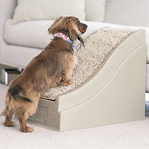 narrow pet ramp